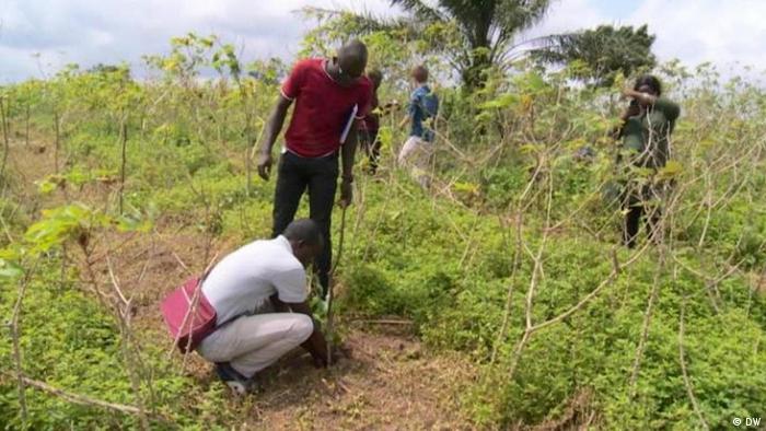 planter des arbres ijed